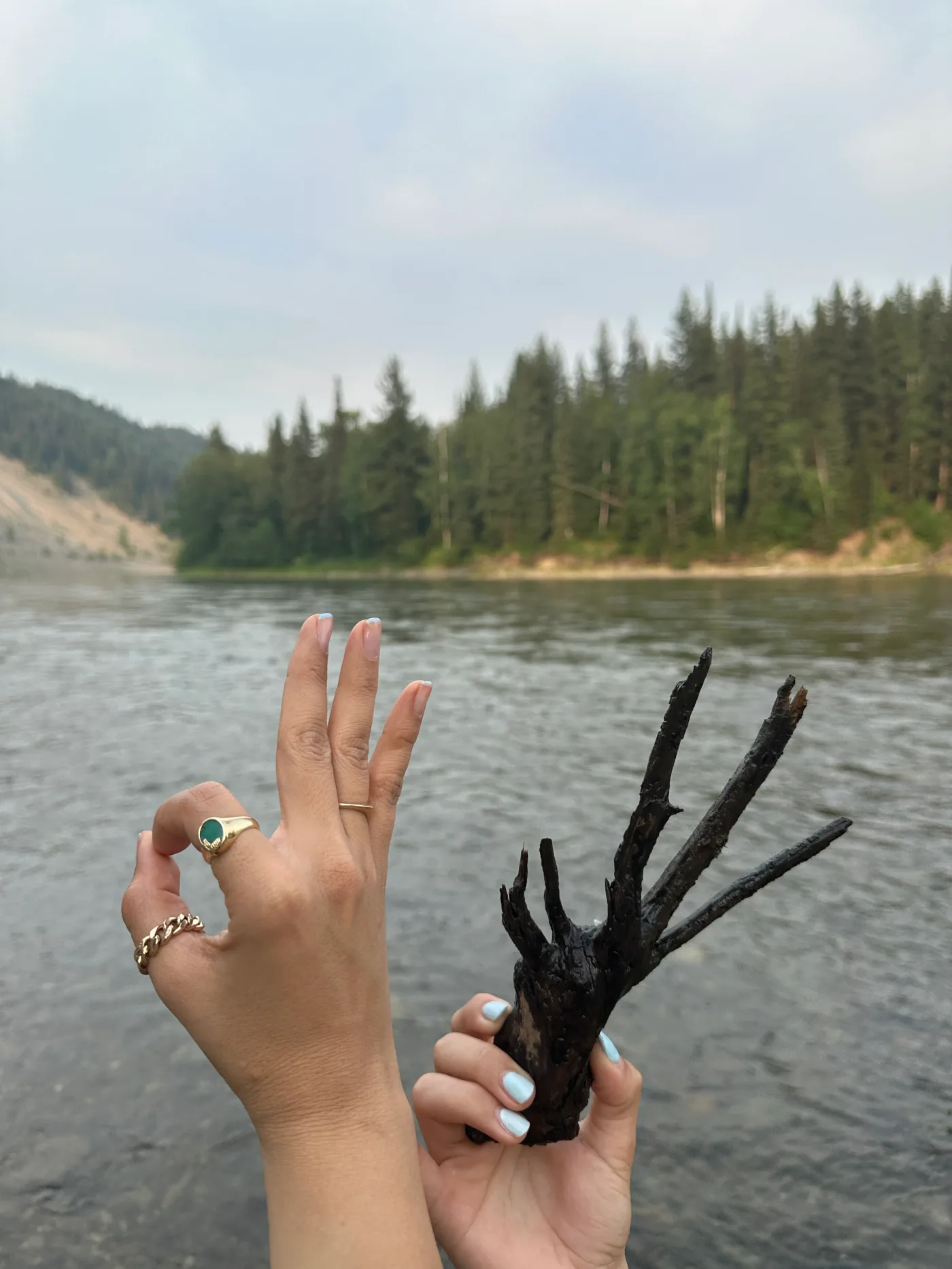 Hands making an okay gesture and holding a branching piece of driftwood beside a river.